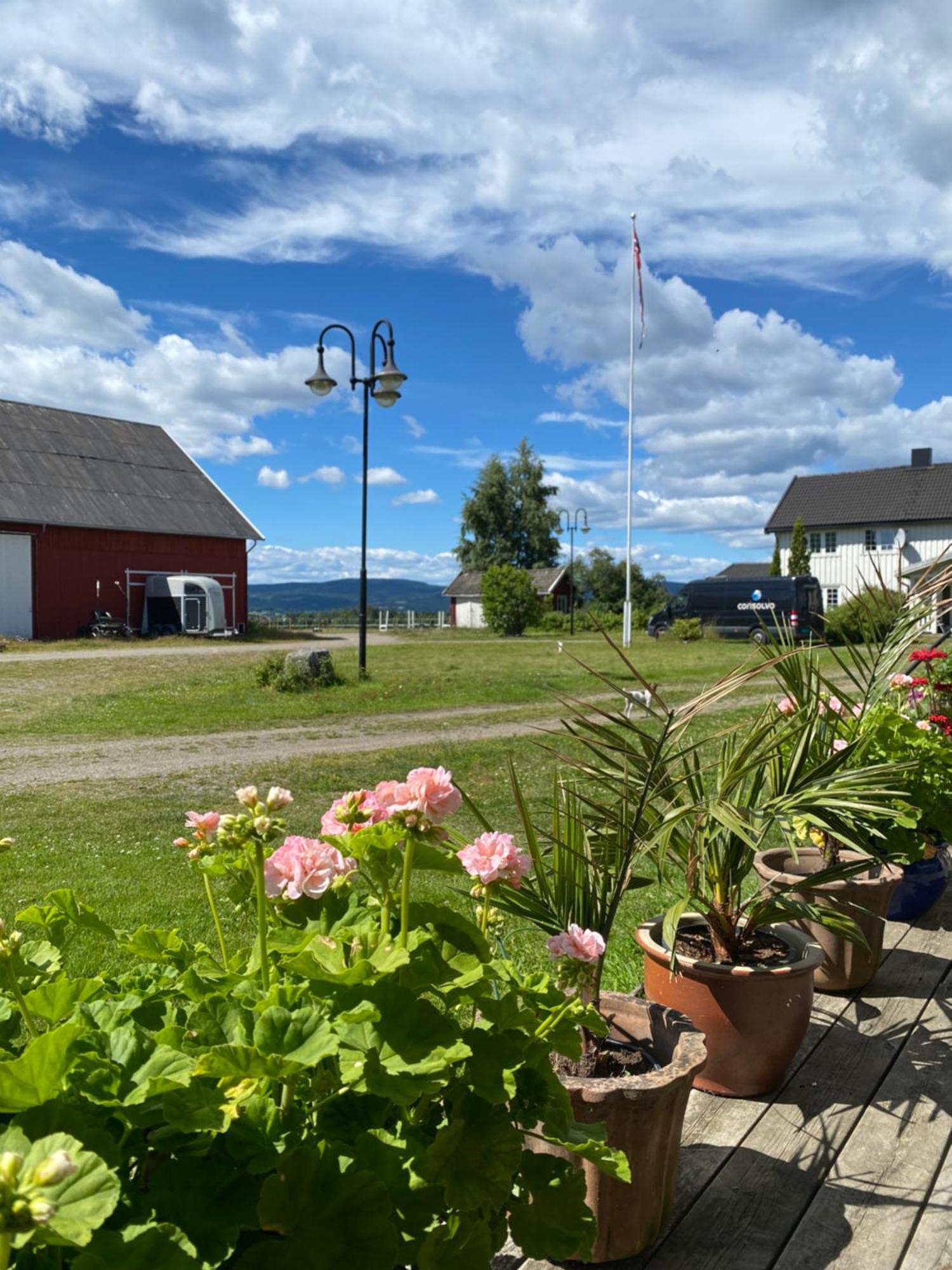 Sundby Fjordhestgard Vila Garder Exterior foto