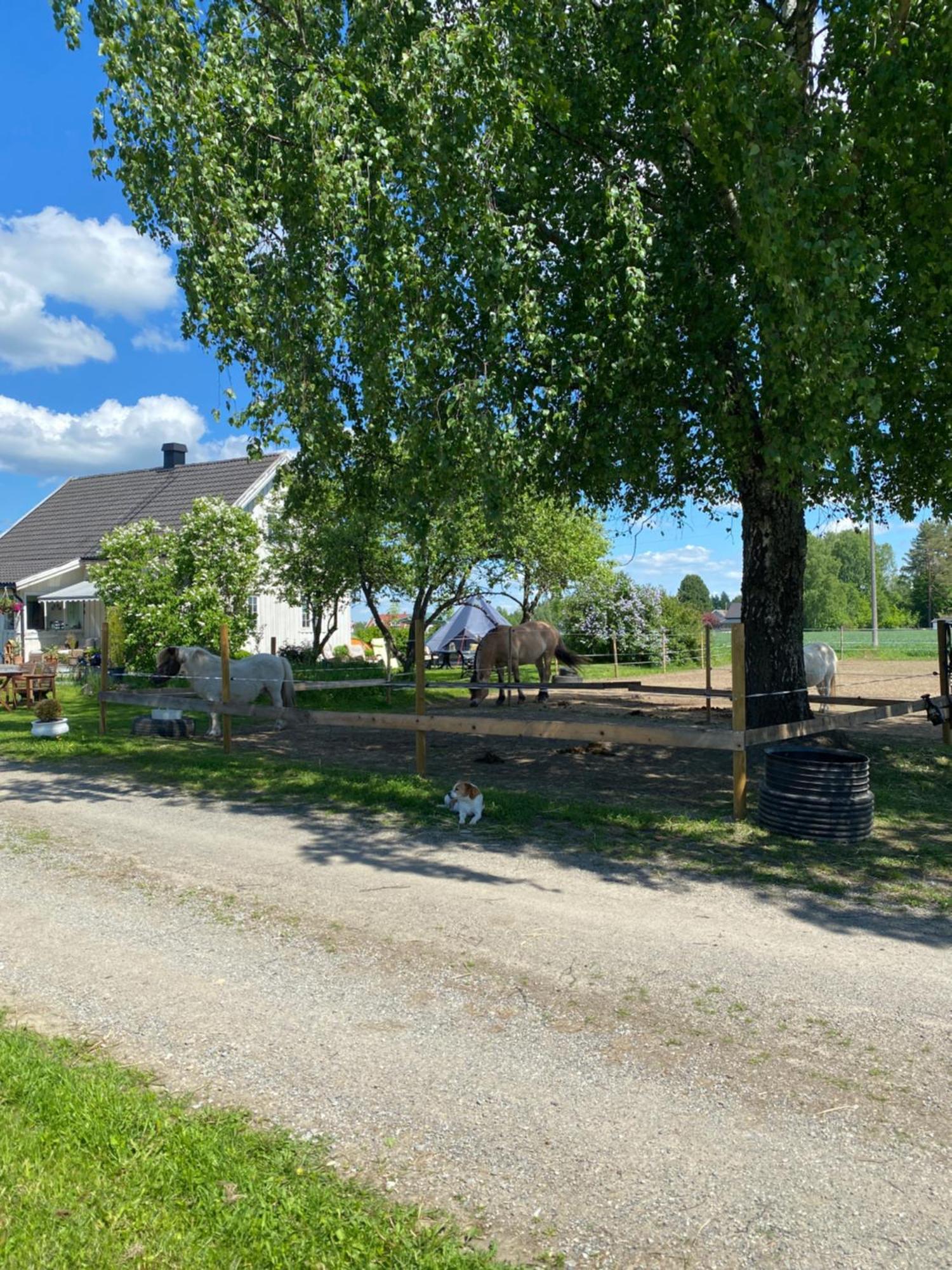 Sundby Fjordhestgard Vila Garder Exterior foto